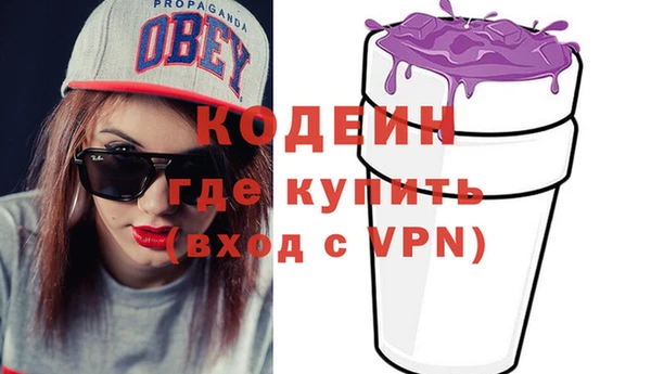 винт Инта