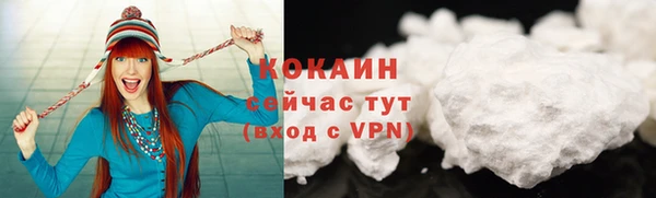 винт Инта