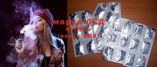 мяу мяу мука Инсар